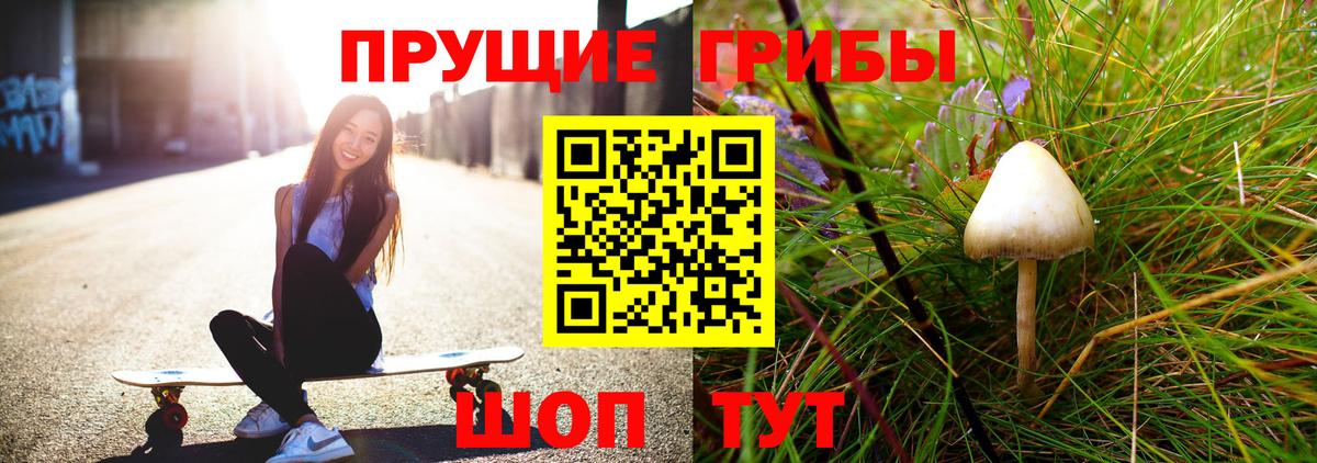 Бугуруслан  Галлюциногенные грибы GOLDEN TEACHER  Вход с VPN 